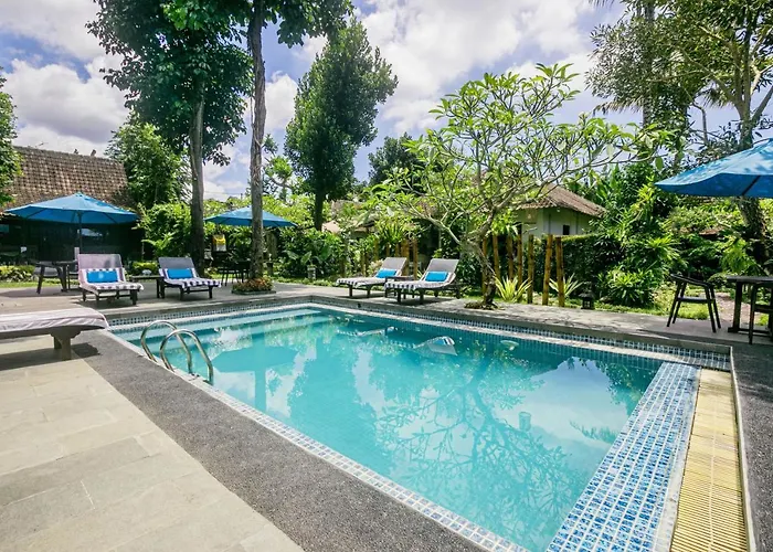 Canvas Escape Hotel